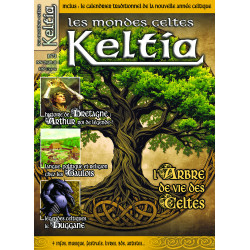 Keltia 73 Numérique